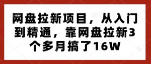 网盘拉新项目，从入门到精通，靠网盘拉新3个多月搞了16W-识享社