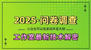 2025问卷调查最新工作室技术解密：一个人在家也可以闷声发大财，小白一天2张，可矩阵放大【揭秘】-识享社