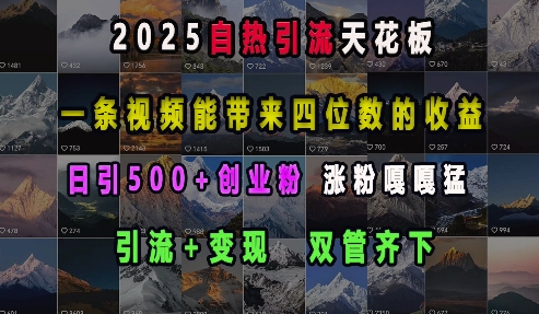 2025自热引流天花板，一条视频能带来四位数的收益，引流+变现双管齐下，日引500+创业粉，涨粉嘎嘎猛 - 识享社-识享社