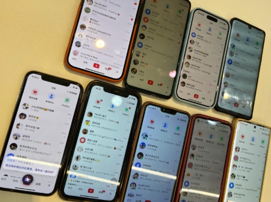 首发揭秘小红书私域日引500+创业粉四大模板,月入过W+全程干货!没有废话!保姆教程! - 识享社-识享社