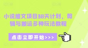 小说推文项目38天计划，剪辑与搬运多种玩法教程-识享社