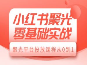 小红书聚光零基础实战，聚光平台投放课程从0到1-识享社