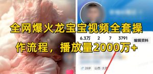 全网爆火龙宝宝视频全套操作流程,播放量2000万+-识享社