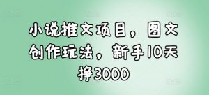 小说推文项目，图文创作玩法，新手10天挣3000-识享社