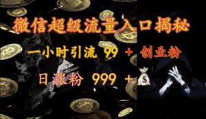 微信超级流量入口揭秘:一小时引流 99 + 创业粉,日涨粉 999 +-识享社