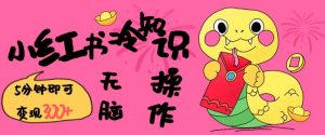 小红书冷知识账号，无脑复制粘贴，5分钟即可变现3张-识享社