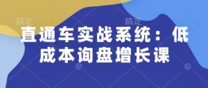 直通车实战系统：低成本询盘增长课，让个人通过技能实现升职加薪，让企业低成本获客，订单源源不断-识享社