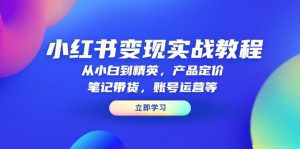 小红书变现实战教程:从小白到精英,产品定价,笔记带货,账号运营等-识享社