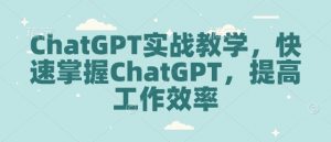 ChatGPT实战教学，快速掌握ChatGPT，提高工作效率-识享社