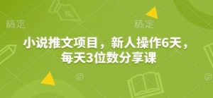 小说推文项目,新人操作6天,每天3位数分享课-识享社