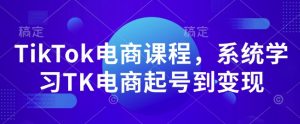 TikTok电商课程，​系统学习TK电商起号到变现-识享社