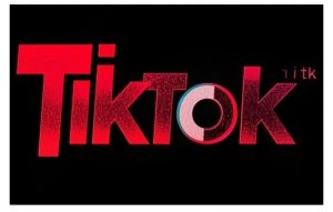 TikTok ads投流秘籍，涵盖tiktok整体投放思路，教你搭建测试计划-识享社