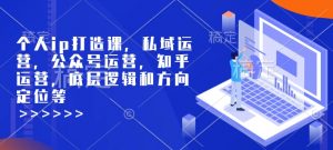 个人ip打造课，私域运营，公众号运营，知乎运营，底层逻辑和方向定位等-识享社