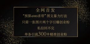 小红书神奇图片引流法,只需一张图,就能单条笔记凭借此方法,轻松引流 300 + 精准创业粉-识享社