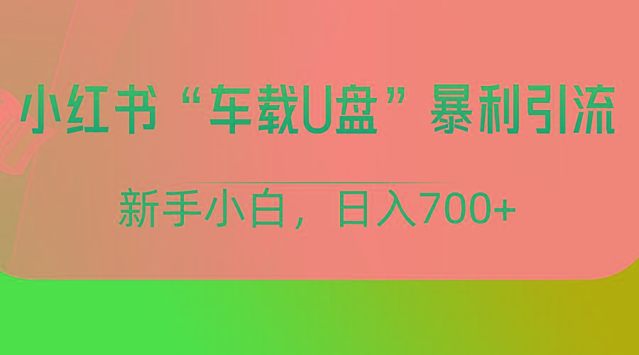 小红书“车载U盘”项目,暴利引流,新手小白轻松日入700+ - 识享社-识享社