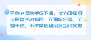 全案IP操盘手线下课，成为现象级ip操盘手必修课，无保留分享，全是干货，不讲废话超深度培训实操-识享社