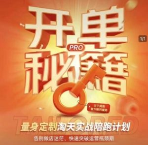 淘宝开单秘籍PRO,量身定制淘天实战陪跑计划,告别做店迷茫、快速突破运营瓶颈期-识享社