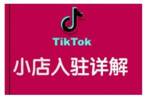 TikTok跨境小店运营全攻略，帮助你独立运营TK跨境小店的能力，实现销量增长-识享社