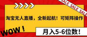 淘宝无人直播，全新起航！可矩阵操作，月入5-6位数！-识享社