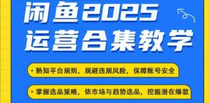2025闲鱼电商运营全集，2025最新咸鱼玩法-识享社