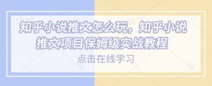 知乎小说推文怎么玩，知乎小说推文项目保姆级实战教程-识享社