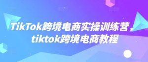 TikTok跨境电商实操训练营，tiktok跨境电商教程-识享社
