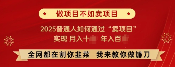 必看,做项目不如卖项目,2025普通人如何通过“卖项目”实现月入十个,年入百个 - 识享社-识享社