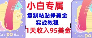 复制粘贴挣美金，0门槛，1天收入95美刀，3分钟学会，内部教程(首次公开)-识享社