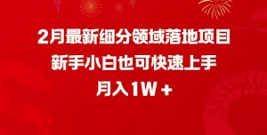 2月最新细分领域落地项目,新手小白也可快速上手,月入1W-识享社