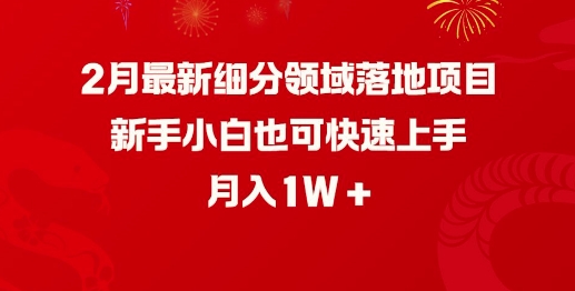 2月最新细分领域落地项目,新手小白也可快速上手,月入1W - 识享社-识享社