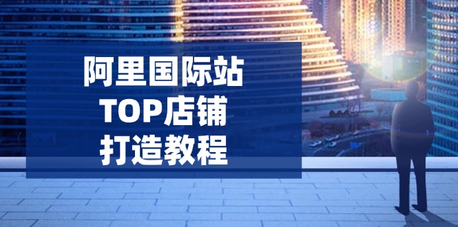 阿里国际站TOP店铺打造教程：涵盖平台到高阶，解决运营难题，提升询盘 - 识享社-识享社