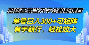 照抄答案当天学会的新项目，单号日入300 +可矩阵，有手就行，轻松放大-识享社