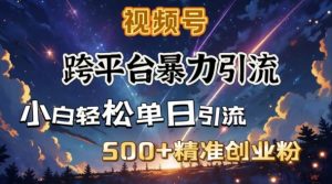 跨平台暴力引流，私域完美闭环，日引500+精准创业粉-识享社