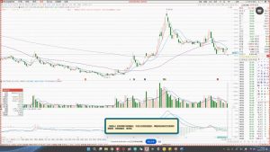 大师兄·鹿鼎山系列内部课程(更新2025年1月)-识享社