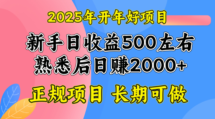 2025开年好项目,单号日收益2000左右 - 识享社-识享社