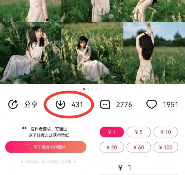 最新图虫搬运项目，收益无上限，利用AI小白也可日赚500+ - 识享社-识享社