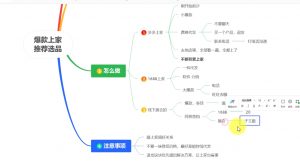 苏博士·淘宝精细化铺货运营陪跑(部分更新至2025)-识享社