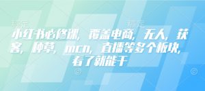 小红书必修课，覆盖电商，无人，获客，种草，mcn，直播等多个板块，看了就能干-识享社