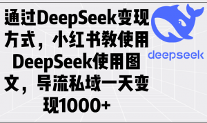 通过DeepSeek变现方式，小红书教使用DeepSeek图文，导流私域一天变现1000+-识享社