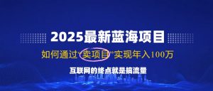 2025最新蓝海项目，零门槛轻松复制，月入10万+，新手也能操作！-识享社