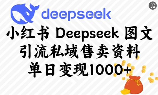小红书Deepseek图文引流私域售卖资料，单日变现多张 - 识享社-识享社