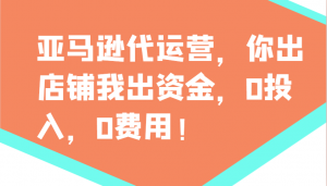 亚马逊代运营，你出店铺我出资金，0投入，0费用，无责任每天300分红，赢亏我承担-识享社