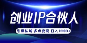 云帆·创业ip合伙人打造3.0,从0到1教你做网创,实现月入过W-识享社