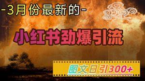 小红书超劲爆引流手段，图文日引300+轻松变现1W-识享社
