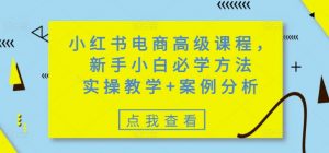 小红书电商高级课程，新手小白必学方法，实操教学+案例分析-识享社