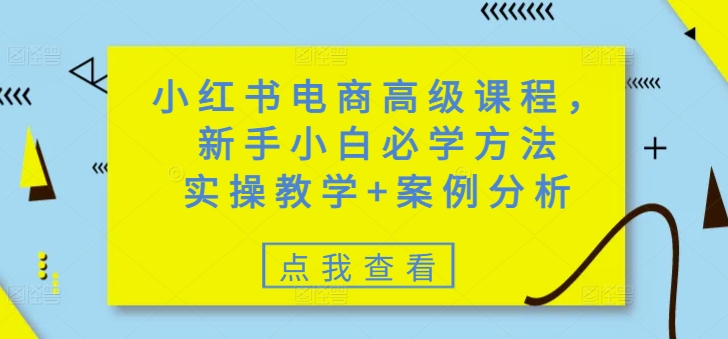 小红书电商高级课程，新手小白必学方法，实操教学+案例分析 - 识享社-识享社