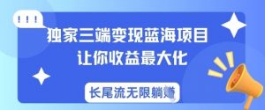独家三端变现蓝海项目，让你收益最大化，长尾流无限躺挣-识享社