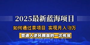 2025蓝海项目，普通人如何通过卖项目，实现月入过W，全过程【揭秘】-识享社