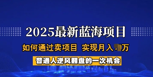 2025蓝海项目,普通人如何通过卖项目,实现月入过W,全过程【揭秘】 - 识享社-识享社