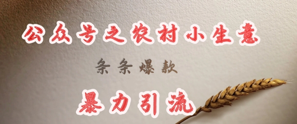 deepseek写农村小项目，条条爆款，暴力引流 - 识享社-识享社